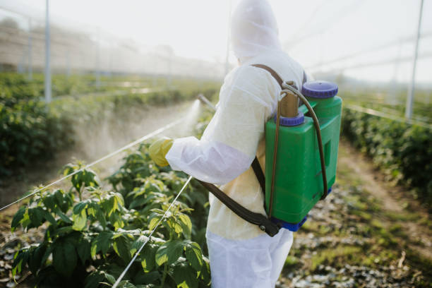Best Pest Prevention Services  in East Setauket, NY